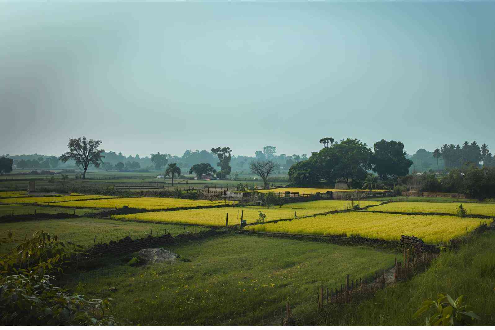 How to reach Arewadi Village in Maharashtra