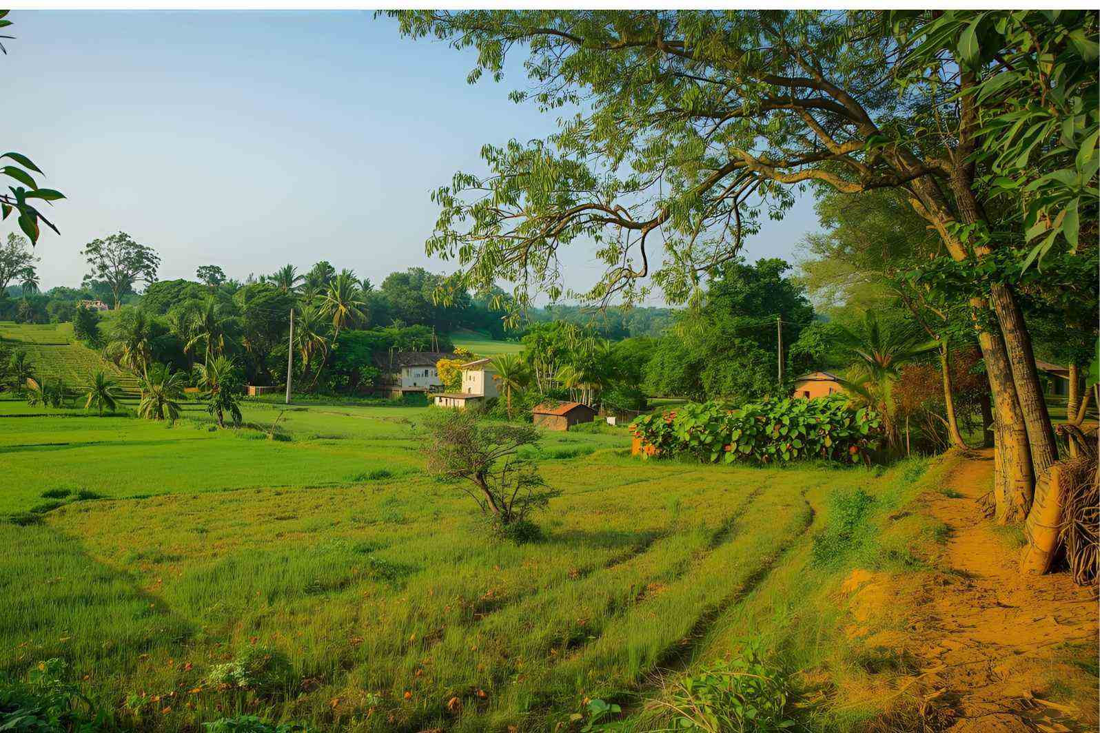 How to reach Chandori Village in Maharashtra