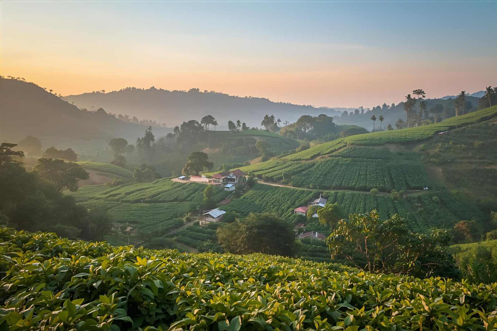 How to reach Panchanahalli Village in Karnataka