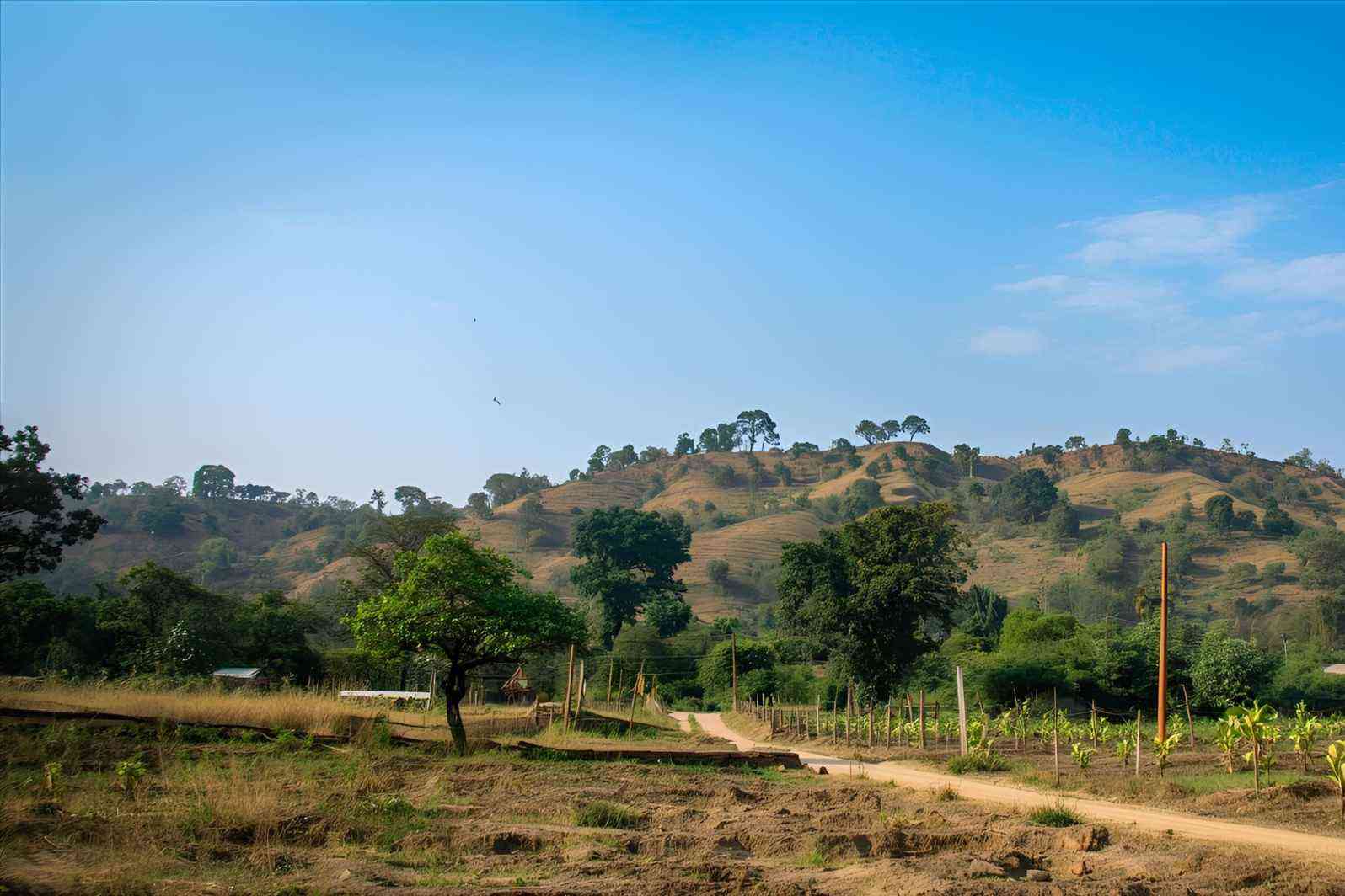 How to reach Shehera: A Town in Gujarat