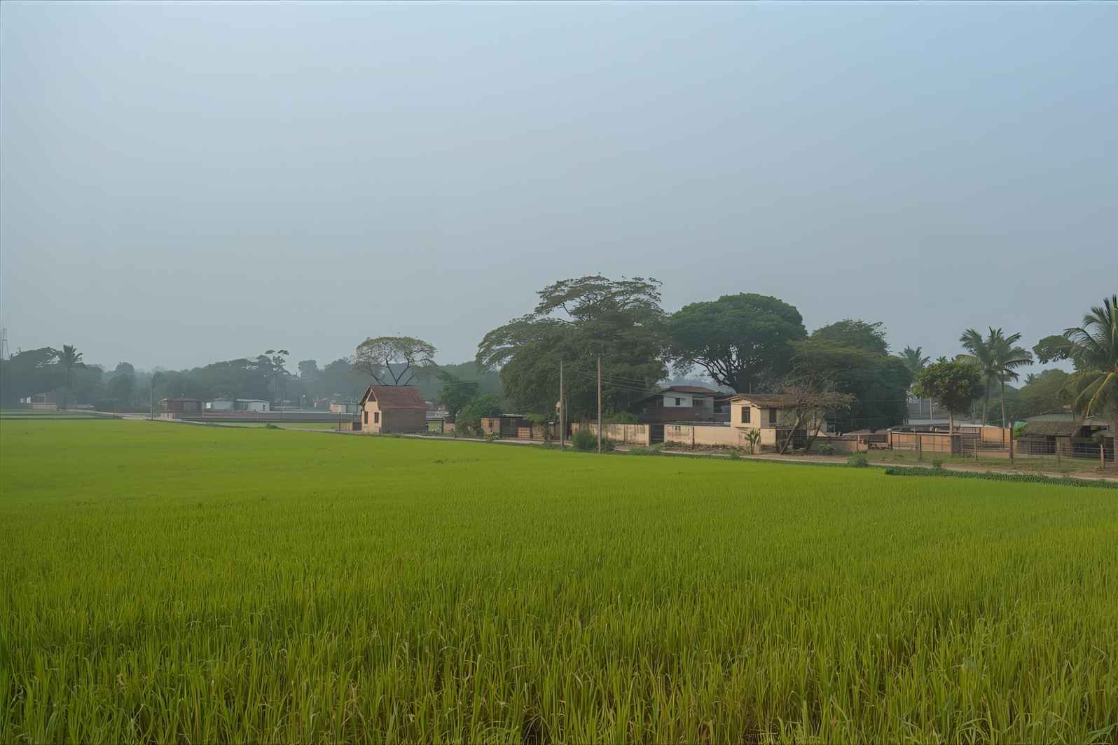 How to reach Barotha Village in Madhya Pradesh