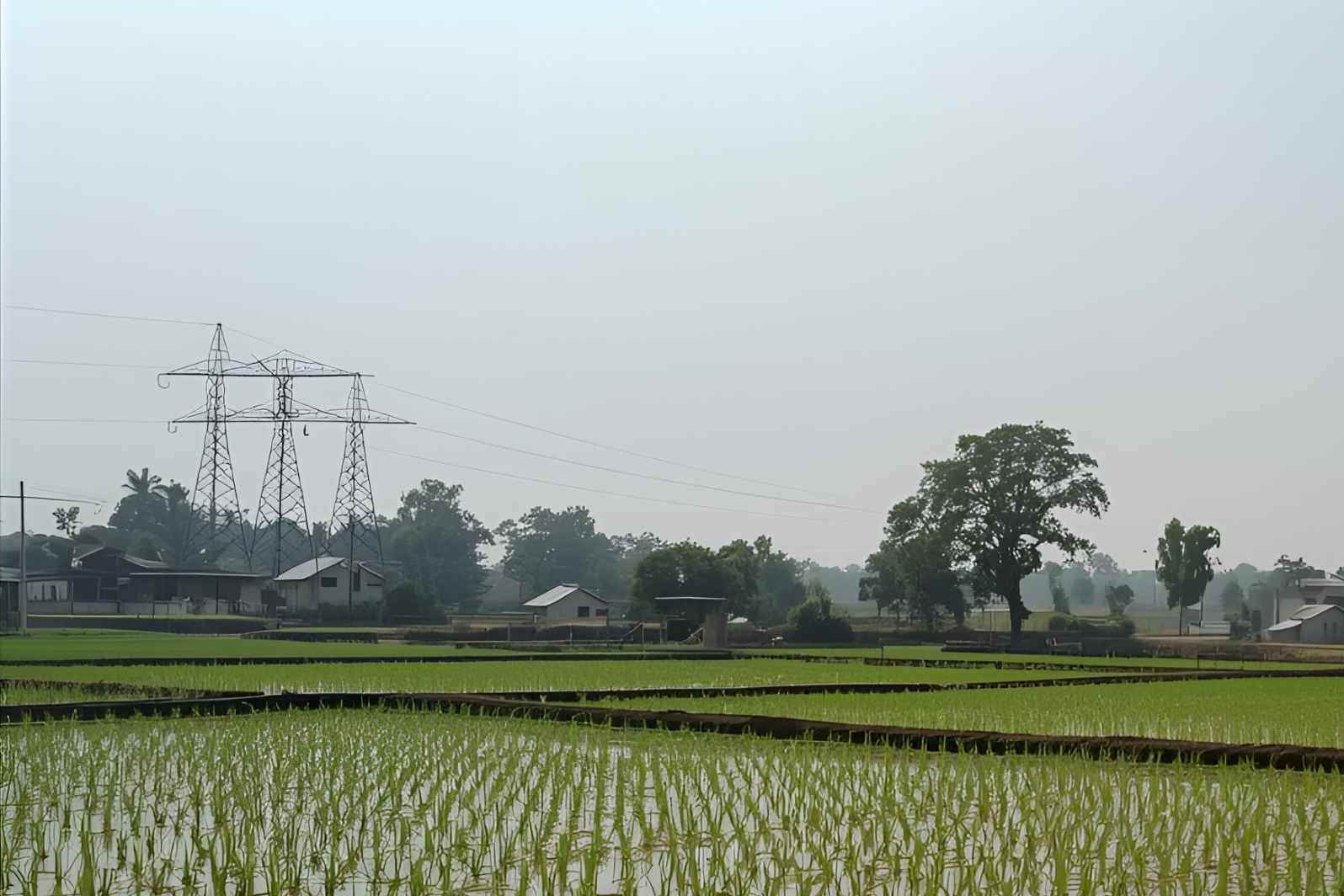 How to Reach Danoda Kalan Village in Haryana