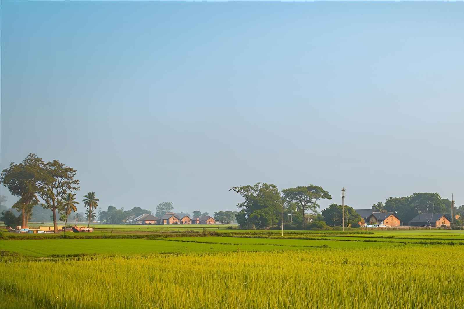 How to reach Danoli Village in Maharashtra