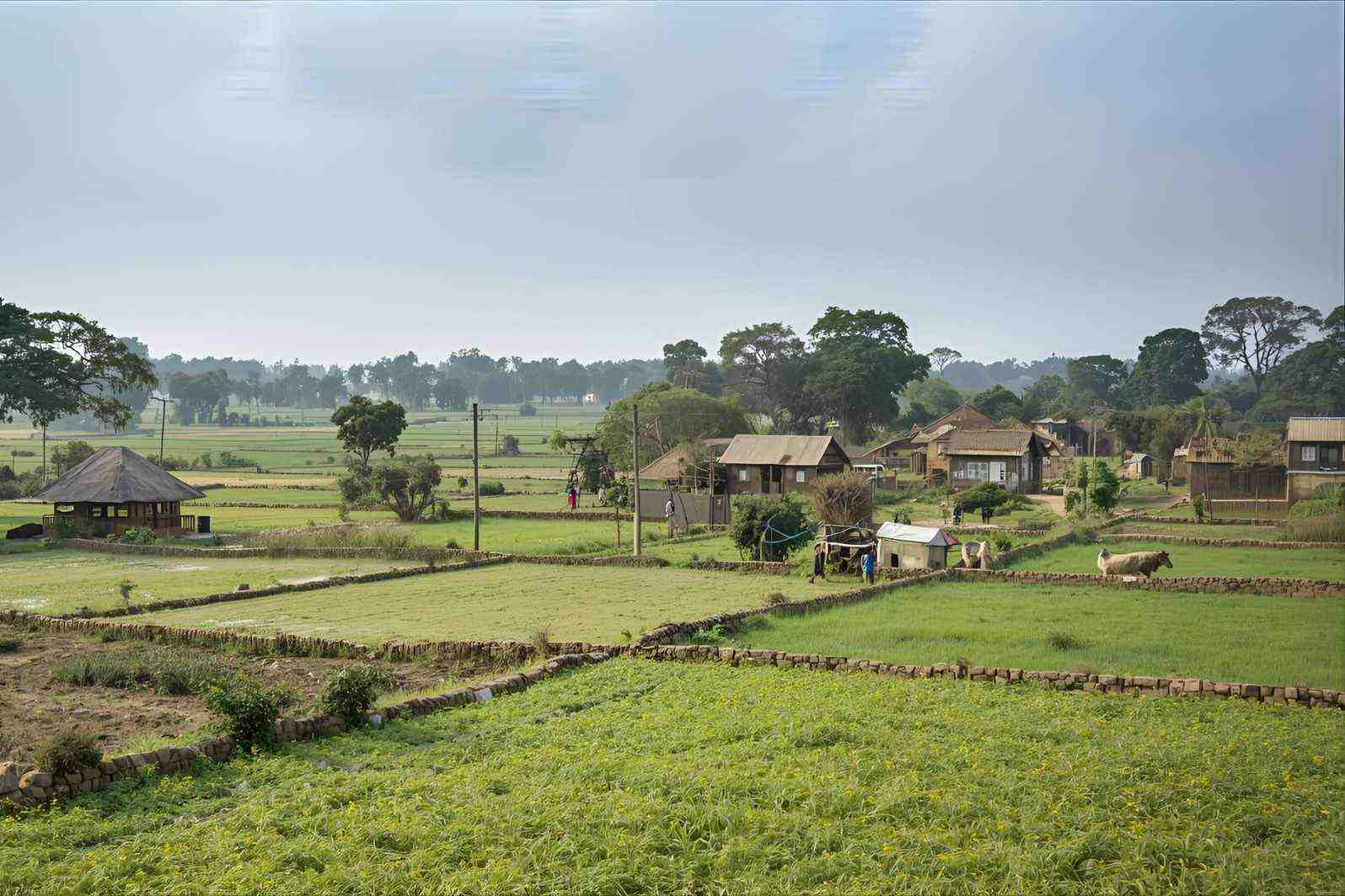 How to reach Desar Village in Gujarat