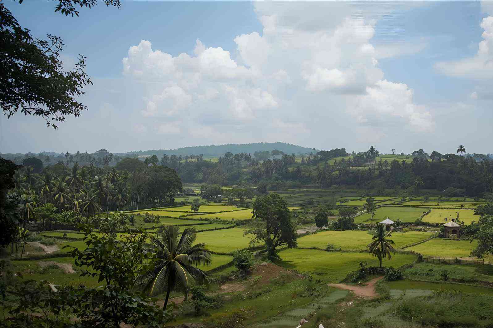How to reach Dibbur Village in Karnataka