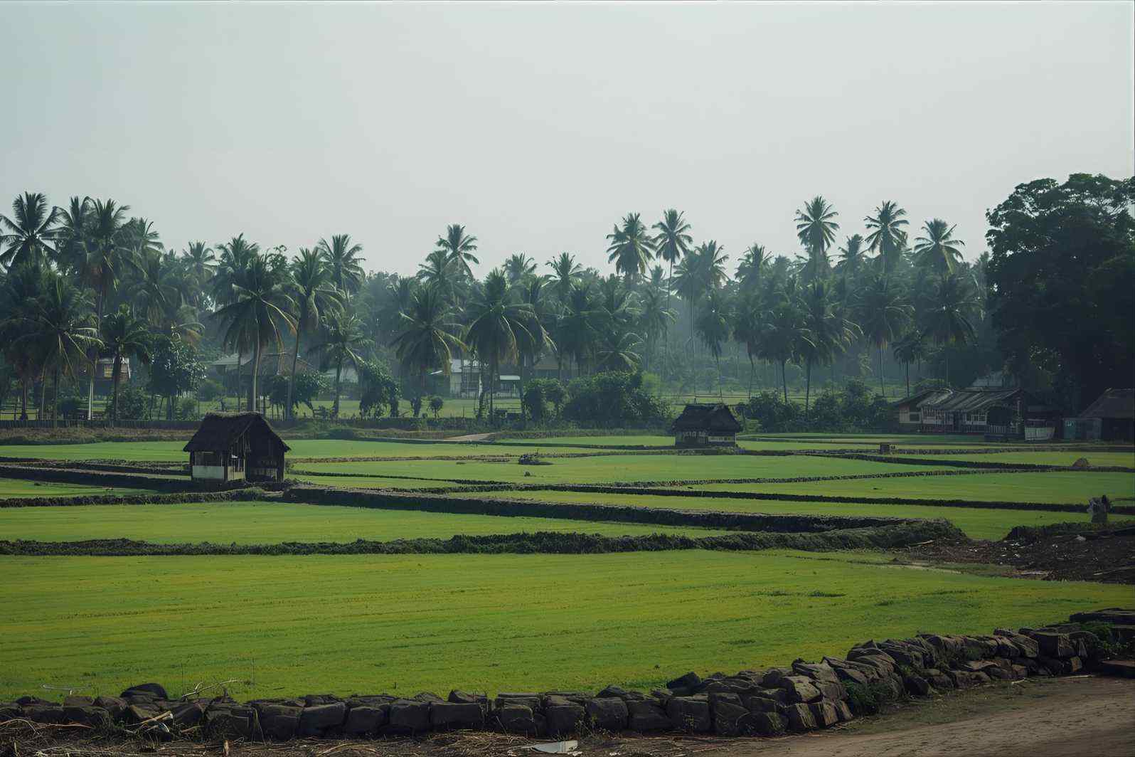 How to reach Kadappadi Village in Tamil Nadu