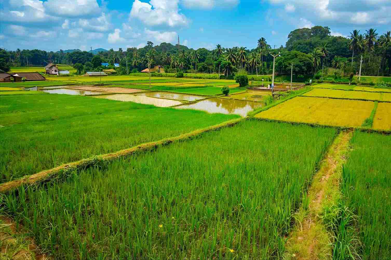 How to reach Kendur Village in Maharashtra