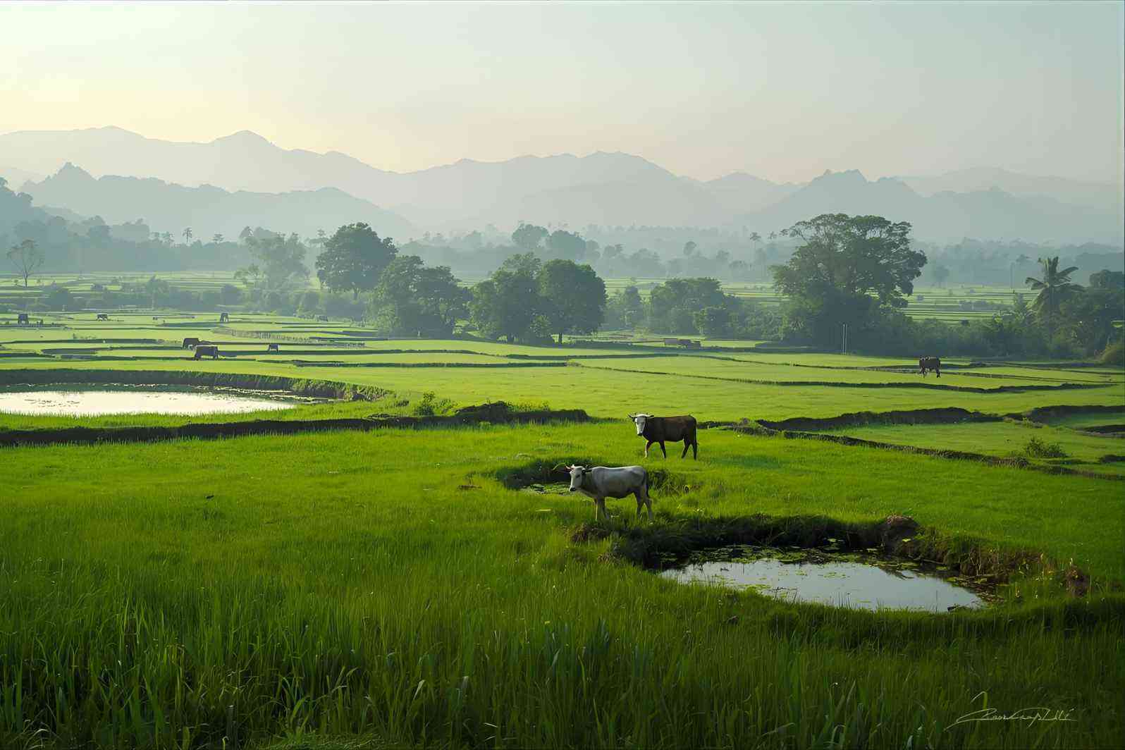 How to reach Konda Mallepally Village in Telangana