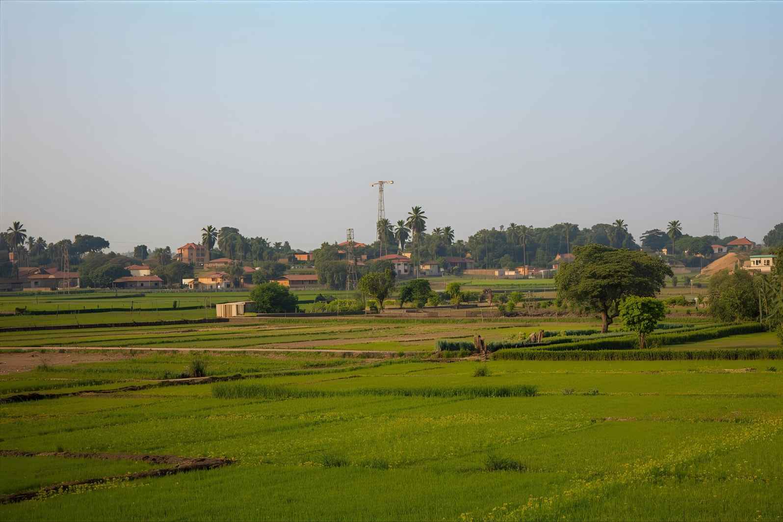 How to Reach Pishore Village in Maharashtra