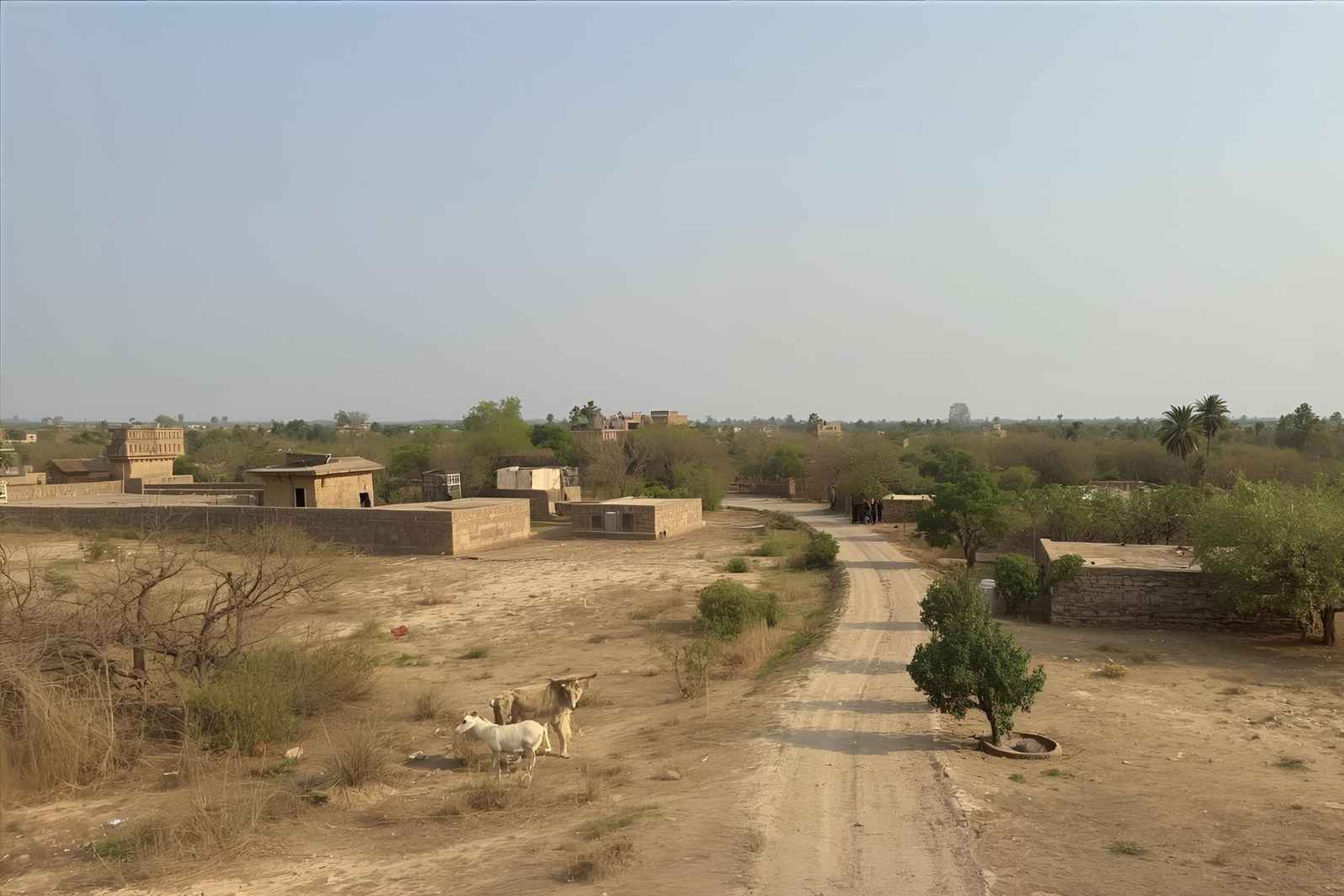 How to Reach Riyan Bari Village in Rajasthan