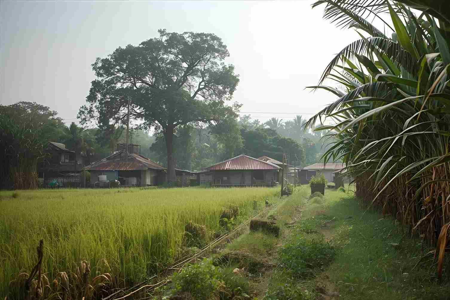 How to Reach Wadgaon Kolhati Village in Maharashtra