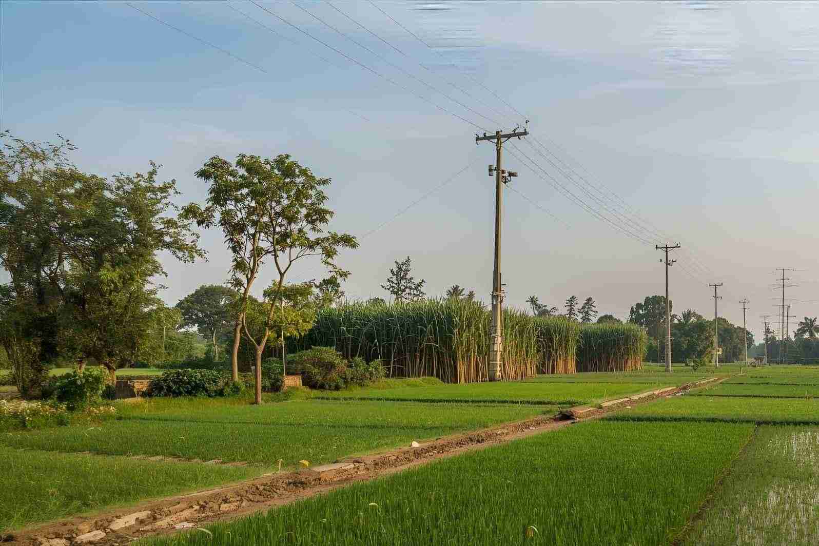 How to Reach Abdul Lat Village in Maharashtra