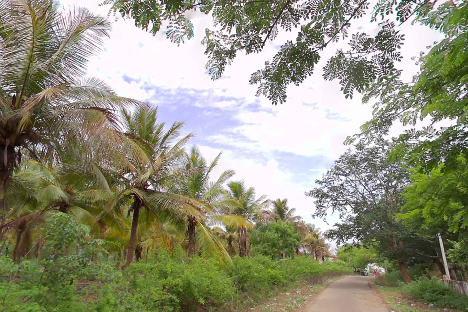 How to Reach Puthanatham Village in Tamil Nadu