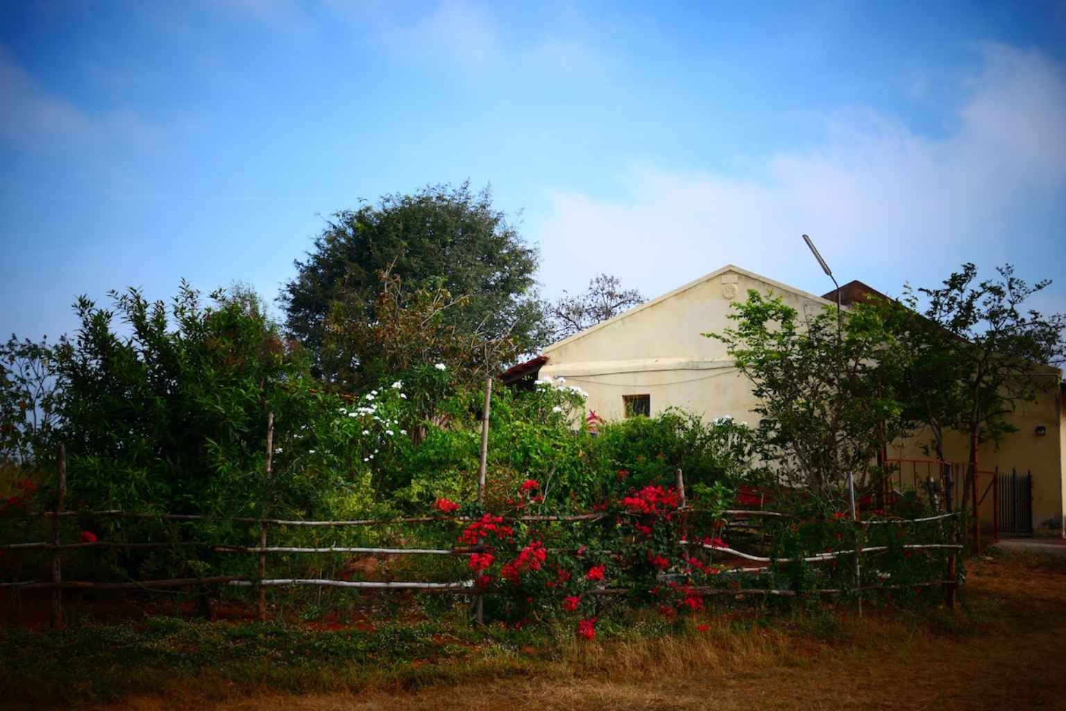 How to Reach Tamaka Village in Karnataka