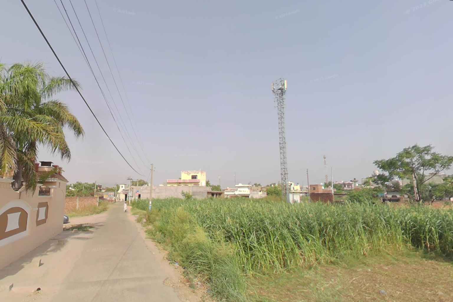 How to Reach Jandu Singha Village in Punjab