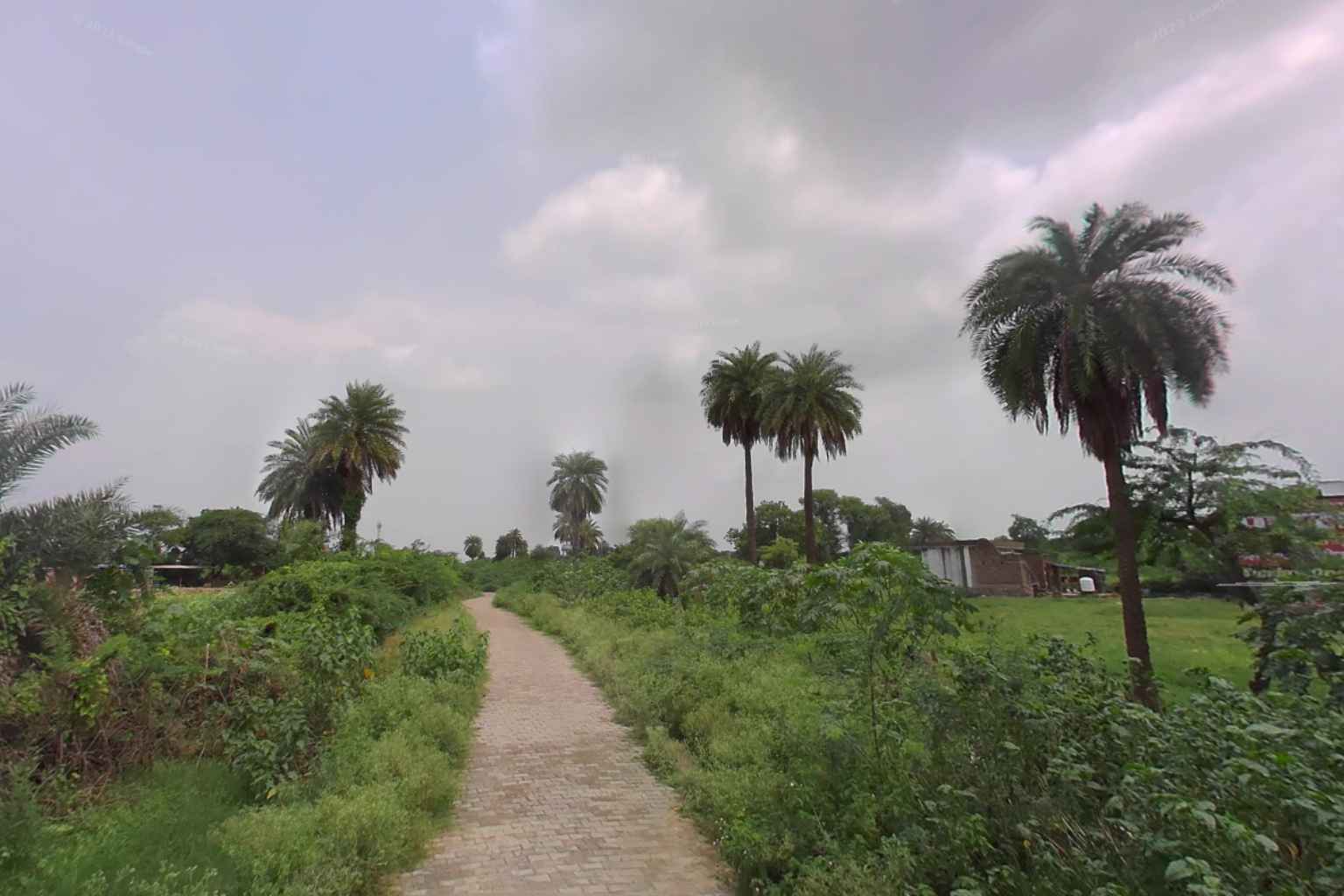 How to Reach Siswali Village in Rajasthan